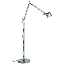 Floor Reading / Task Lamps